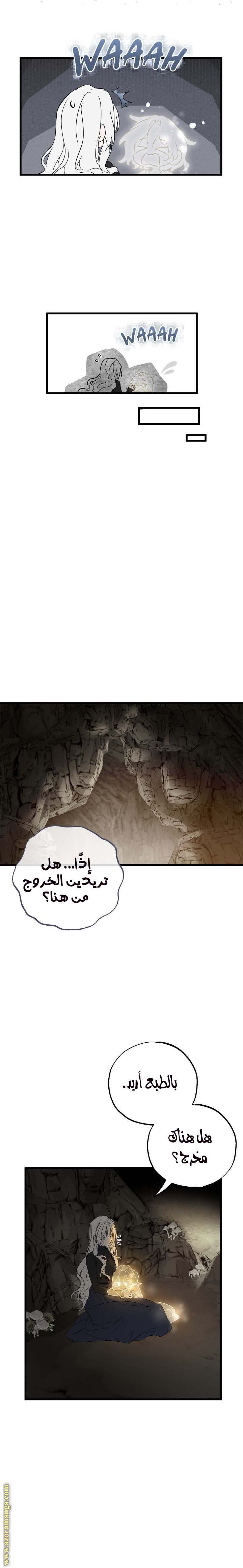 الصفحة 16