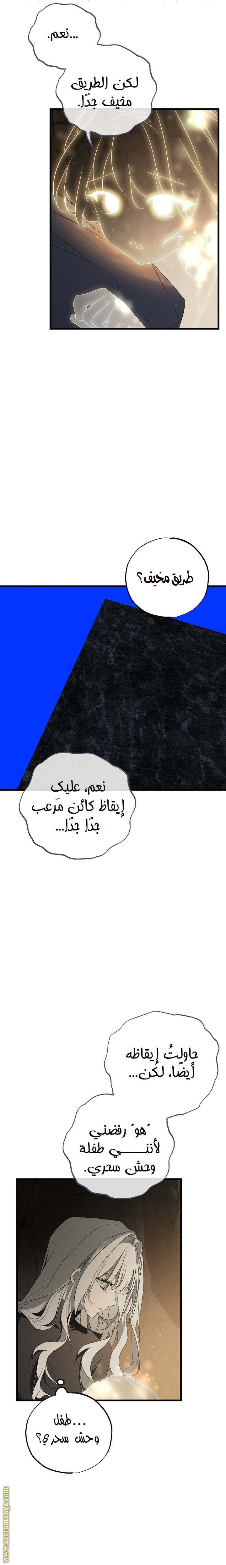 الصفحة 17