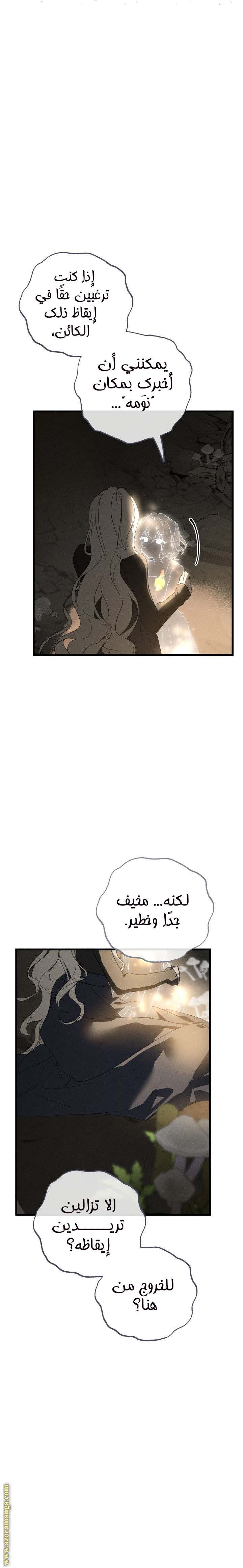 الصفحة 19