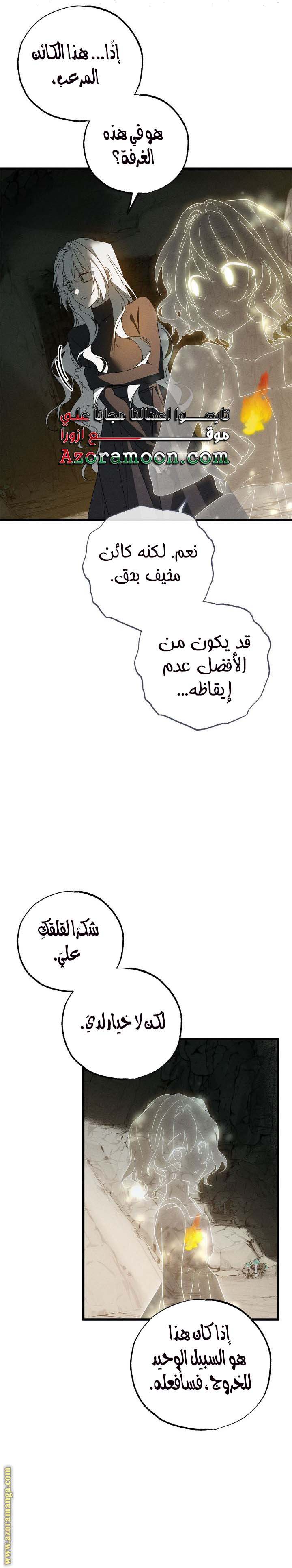 الصفحة 25