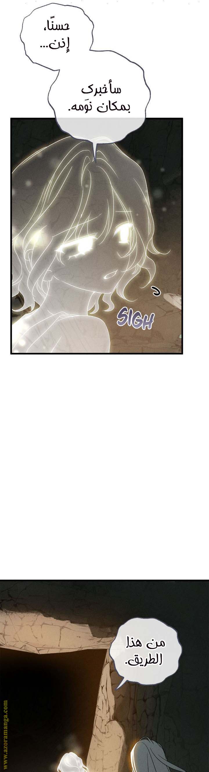 الصفحة 26