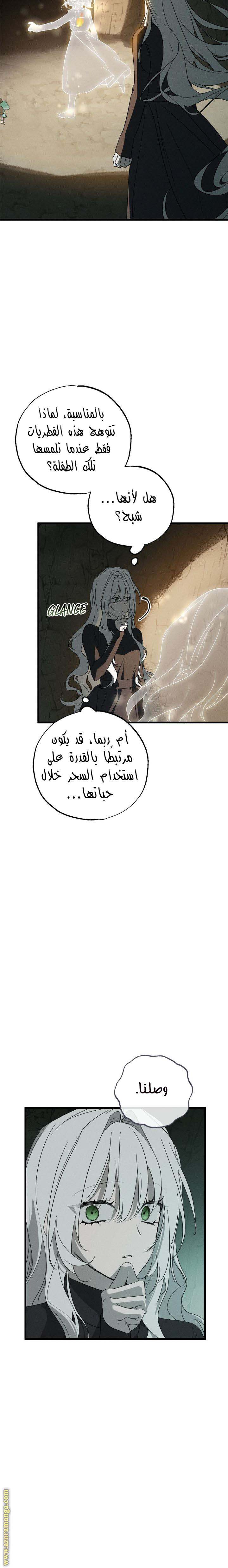 الصفحة 27