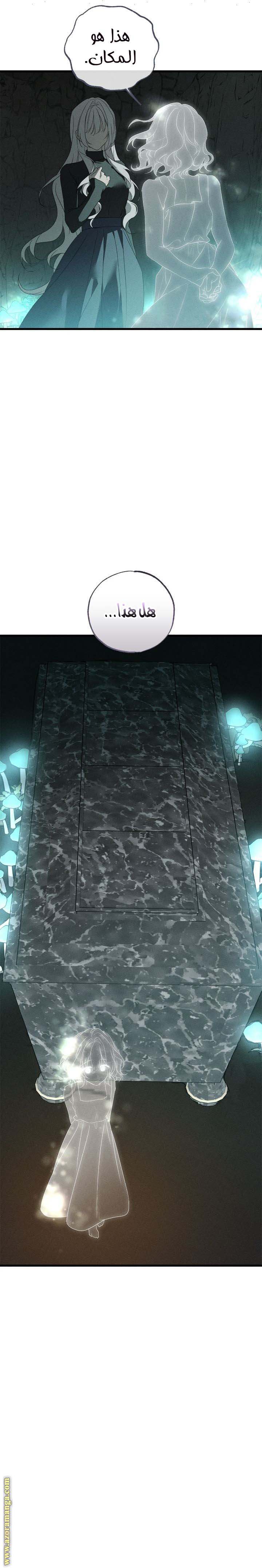 الصفحة 28