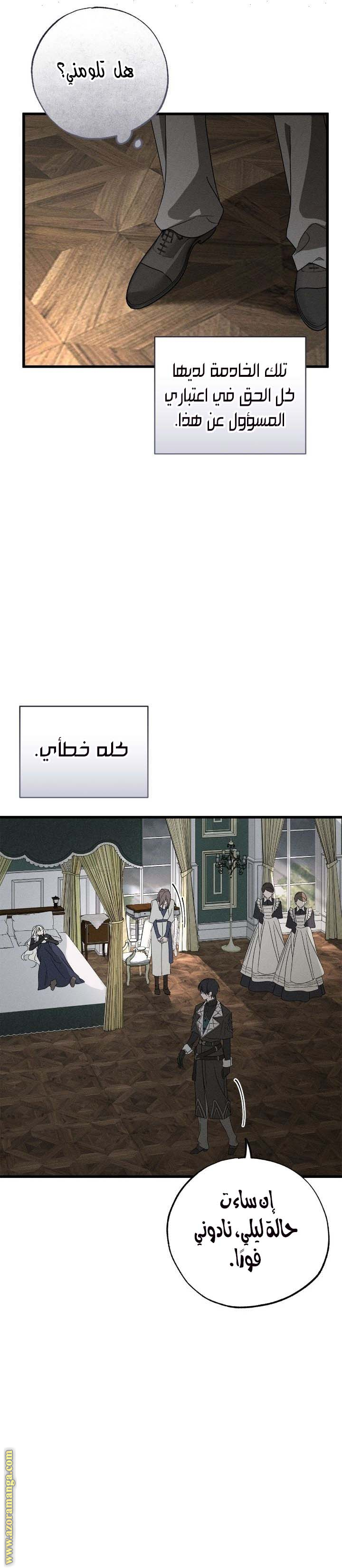 الصفحة 20