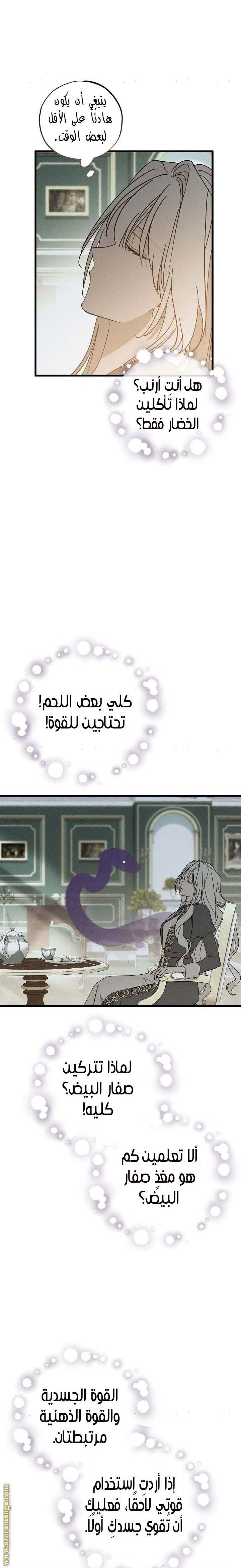 الصفحة 16