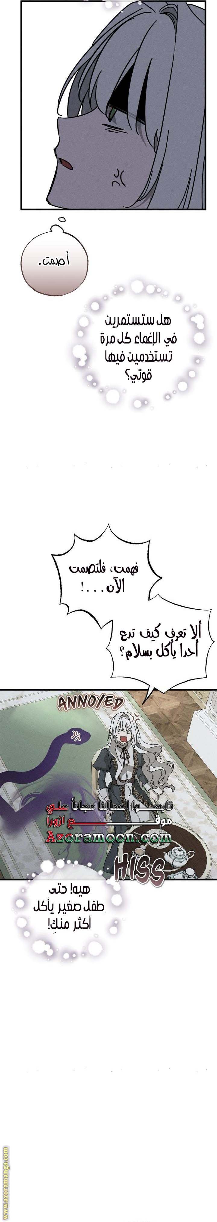 الصفحة 17
