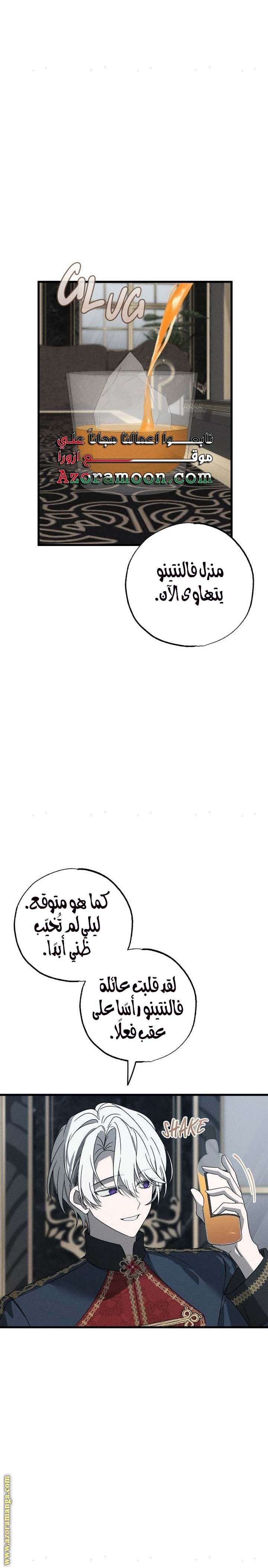 الصفحة 19