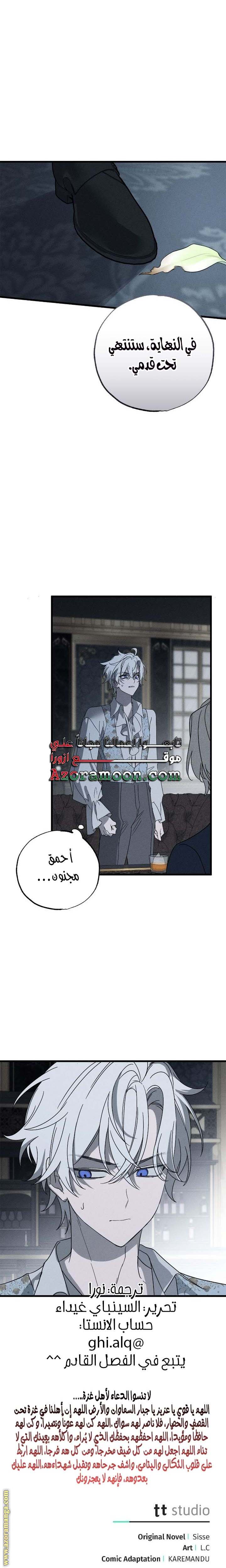 الصفحة 25