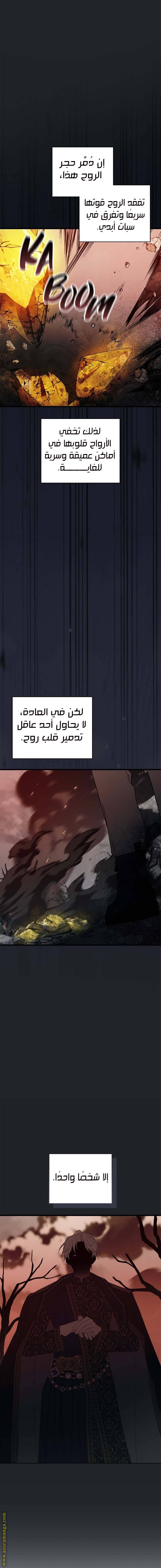 الصفحة 8