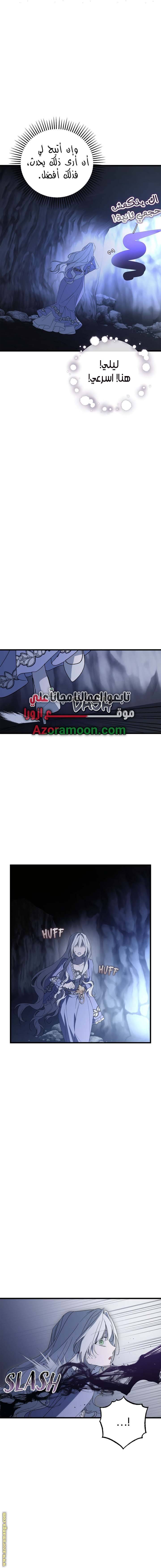 الصفحة 17