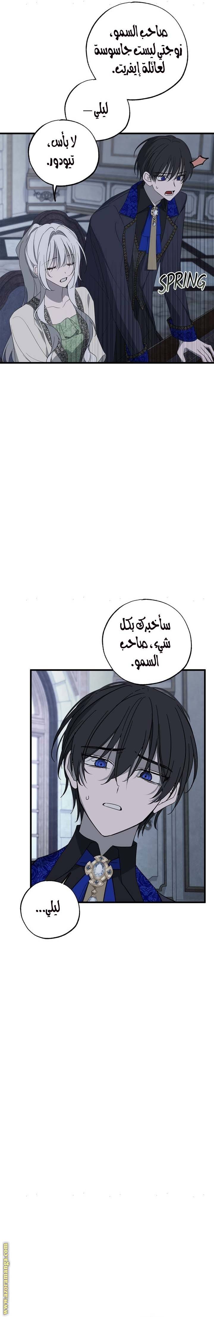 الصفحة 25