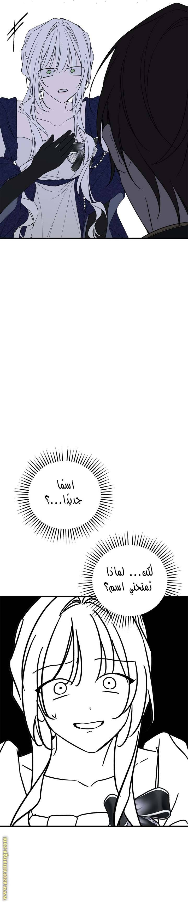 الصفحة 23
