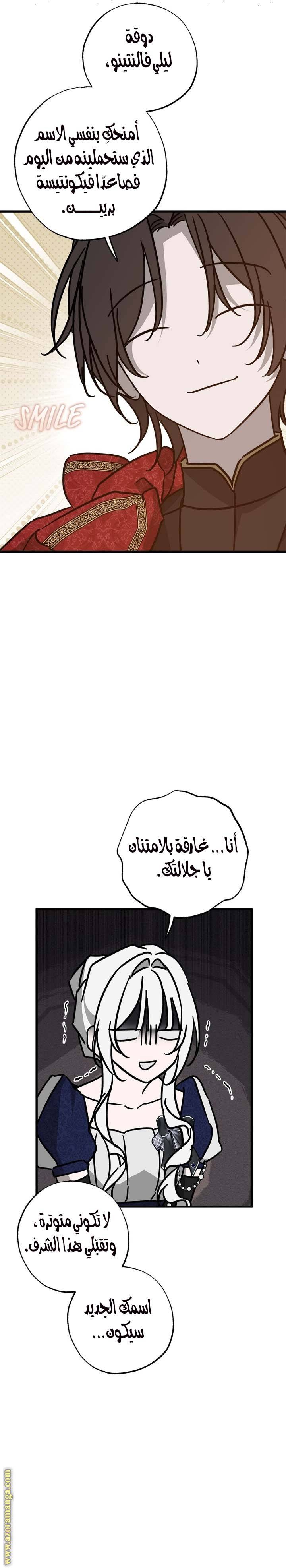 الصفحة 25