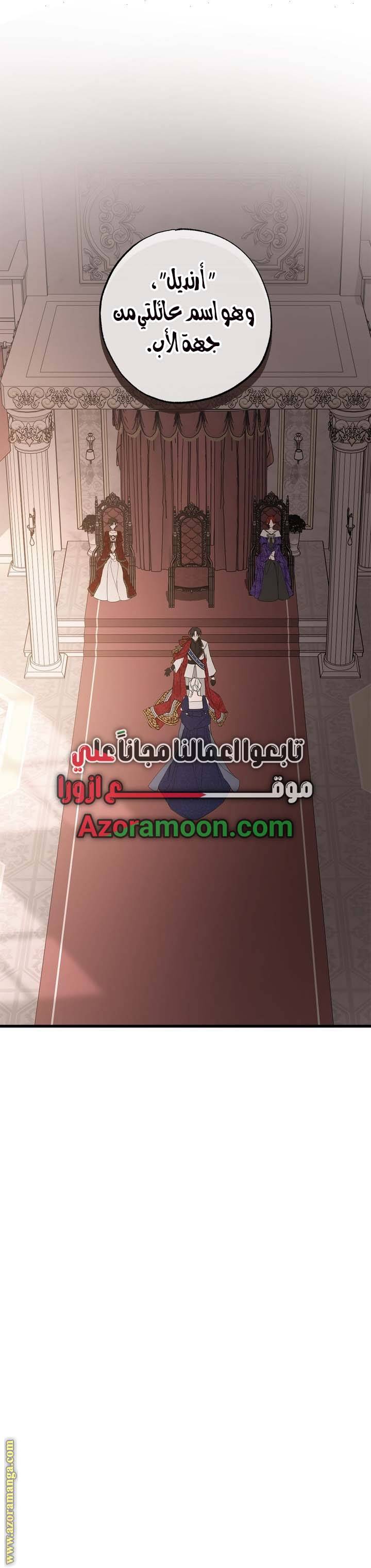 الصفحة 26
