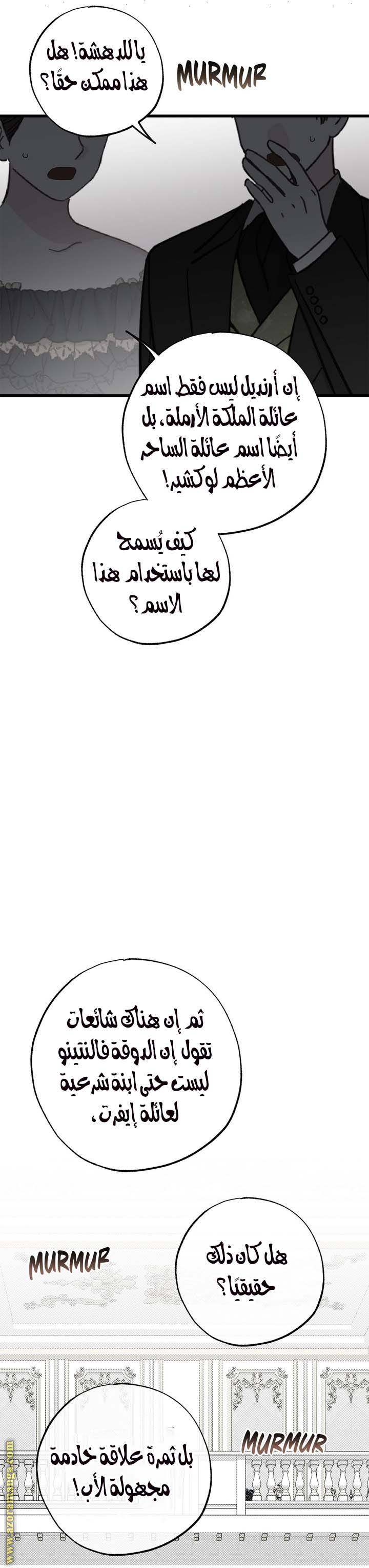 الصفحة 27
