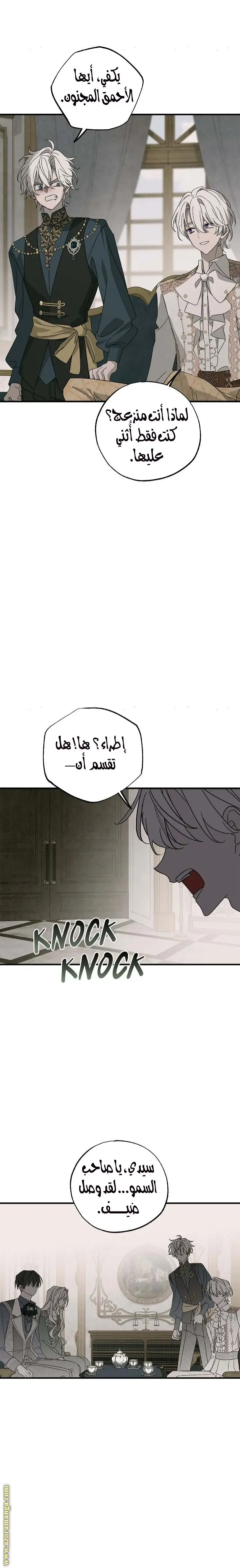 الصفحة 25