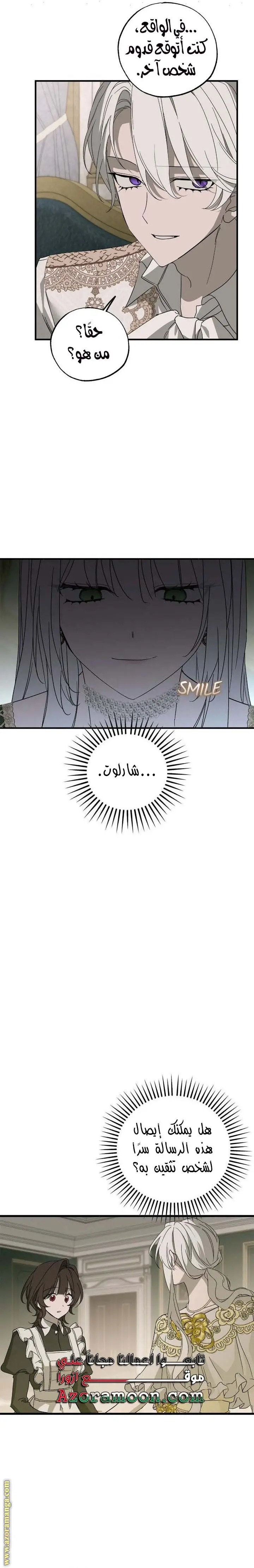 الصفحة 26
