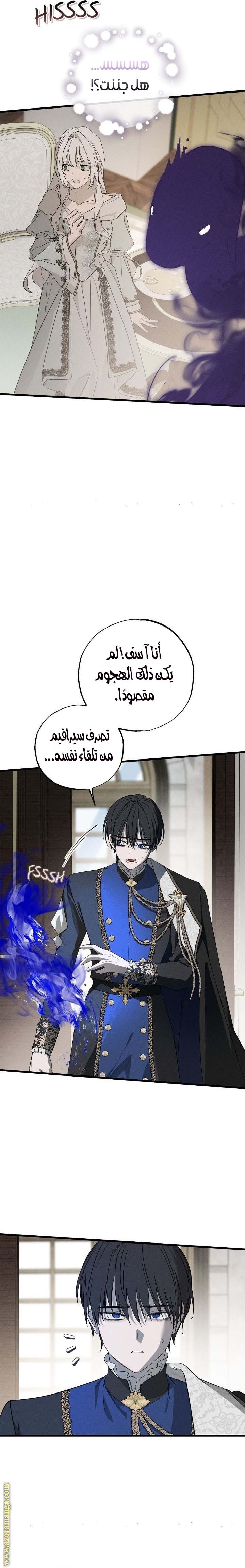 الصفحة 11
