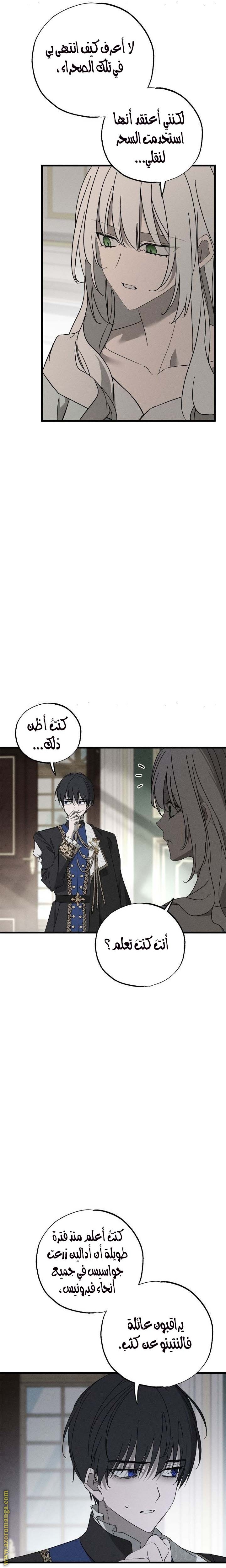 الصفحة 13