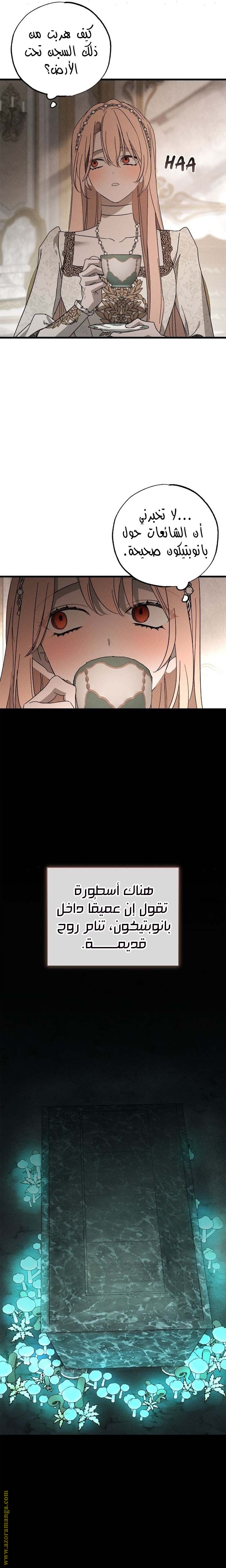 الصفحة 20