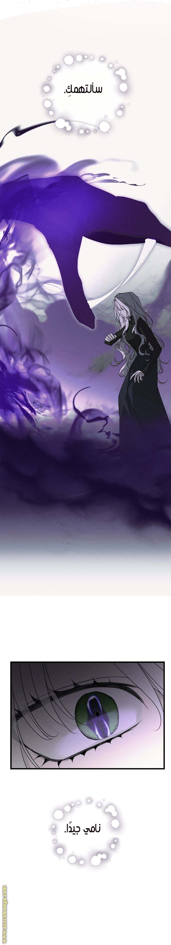 الصفحة 21