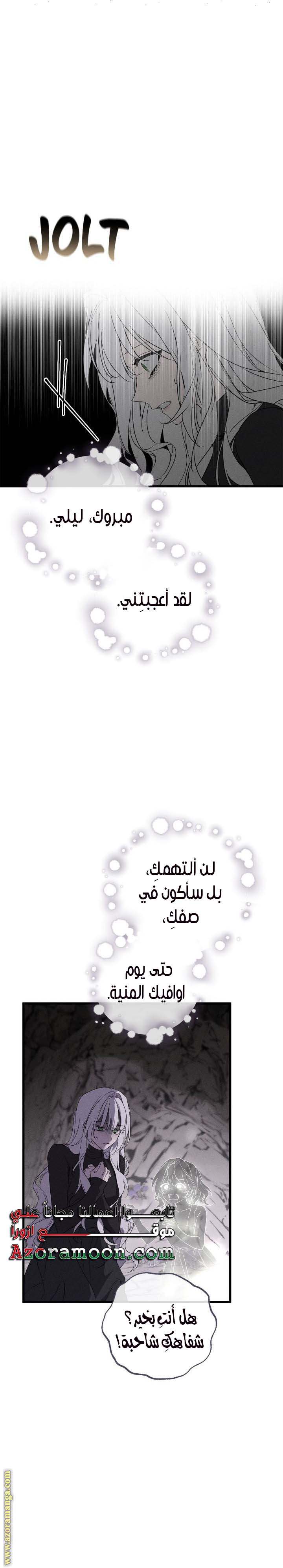 الصفحة 25
