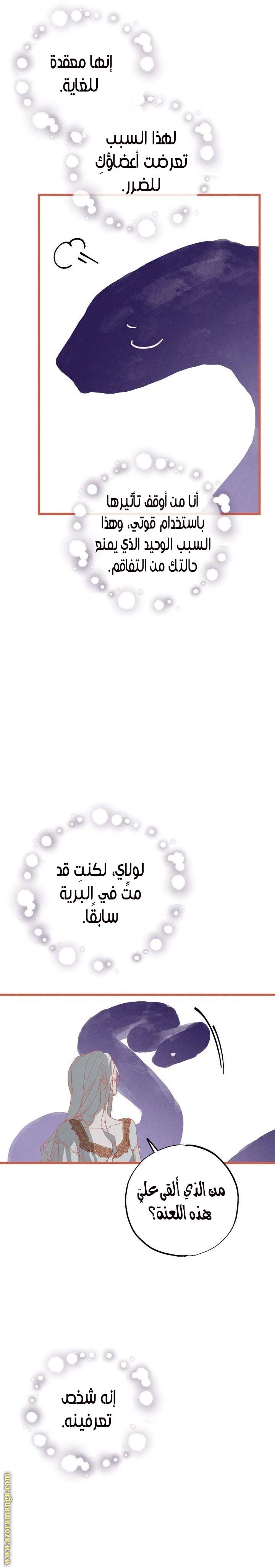 الصفحة 13