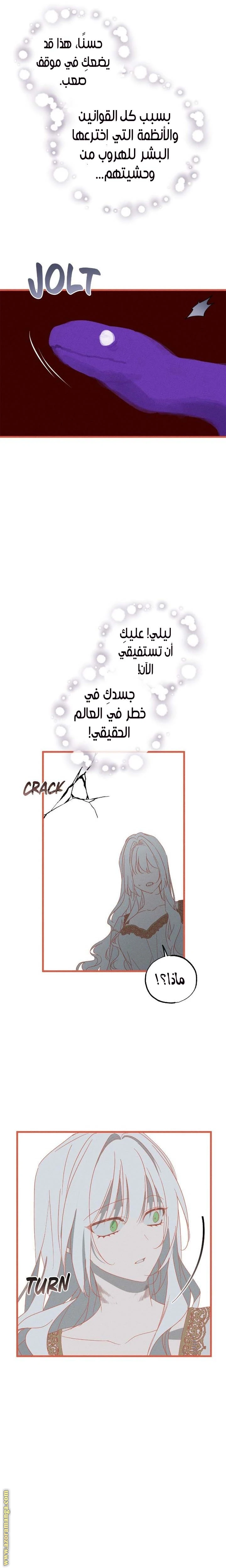 الصفحة 17