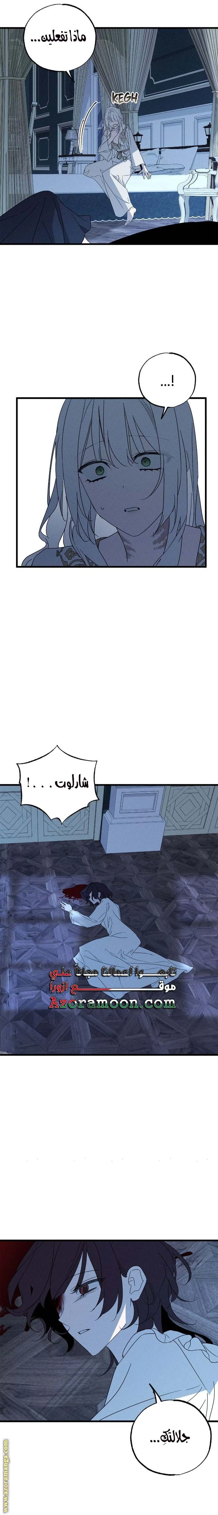 الصفحة 20