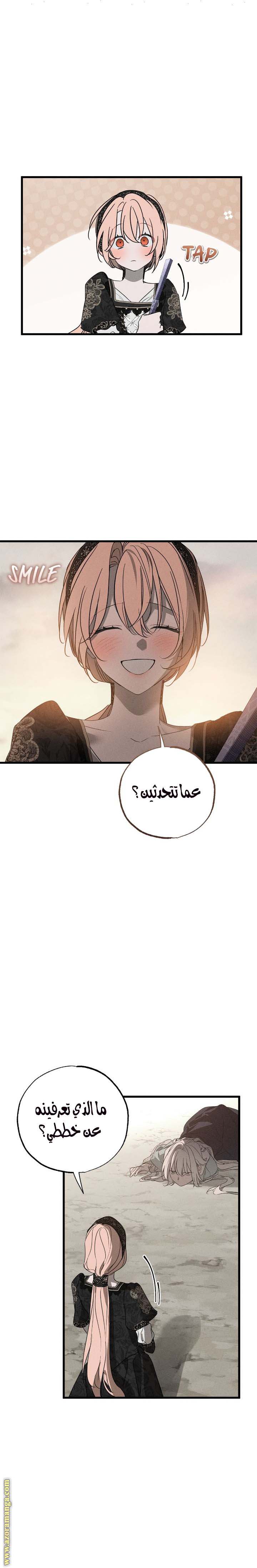 الصفحة 17