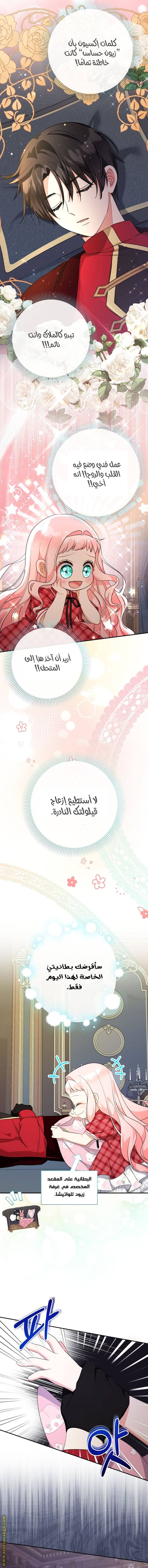 الصفحة 13