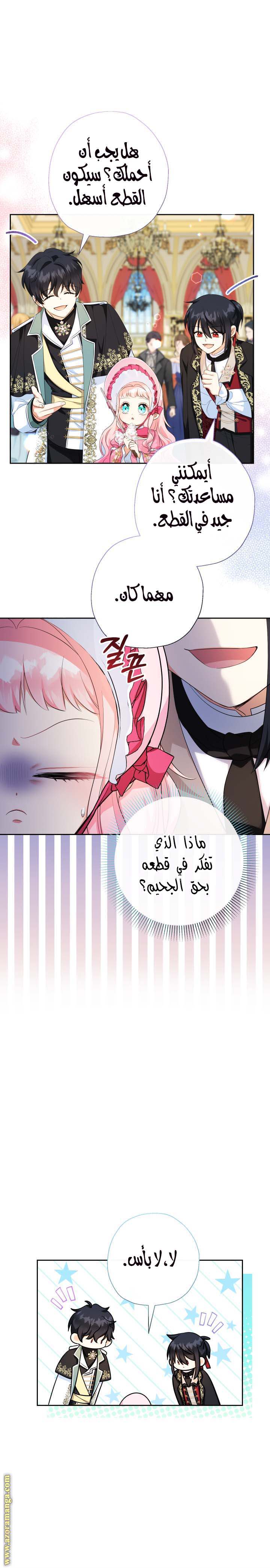 الصفحة 13