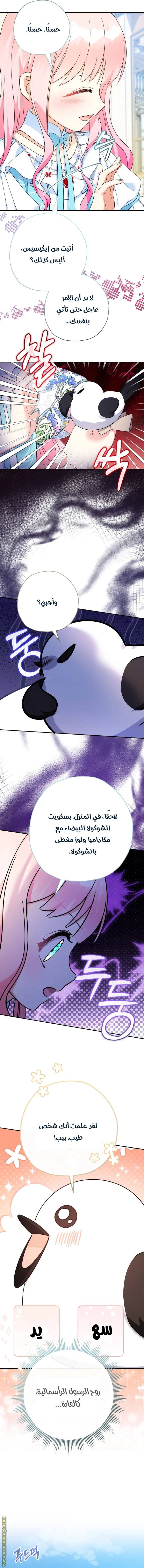 الصفحة 11