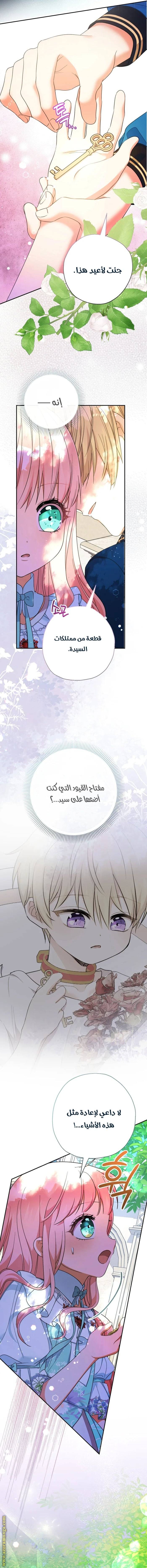 الصفحة 3