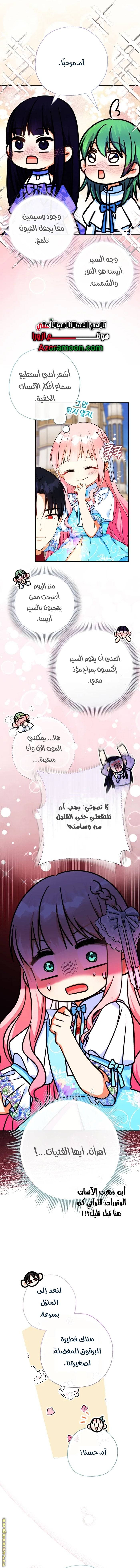 الصفحة 17