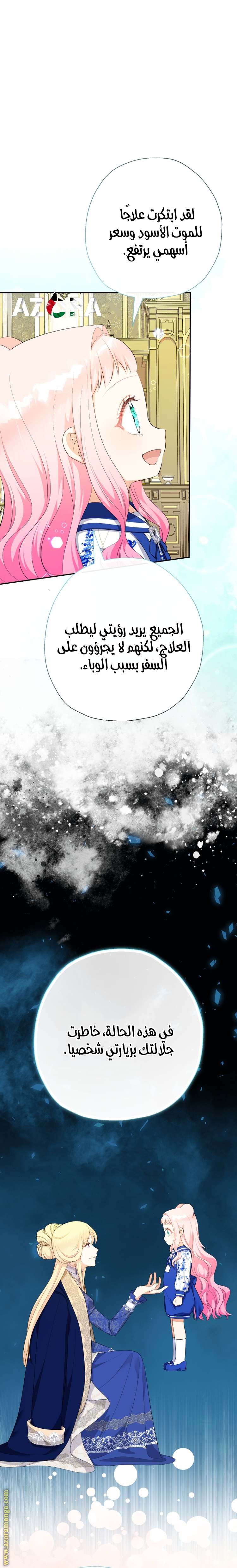 الصفحة 17