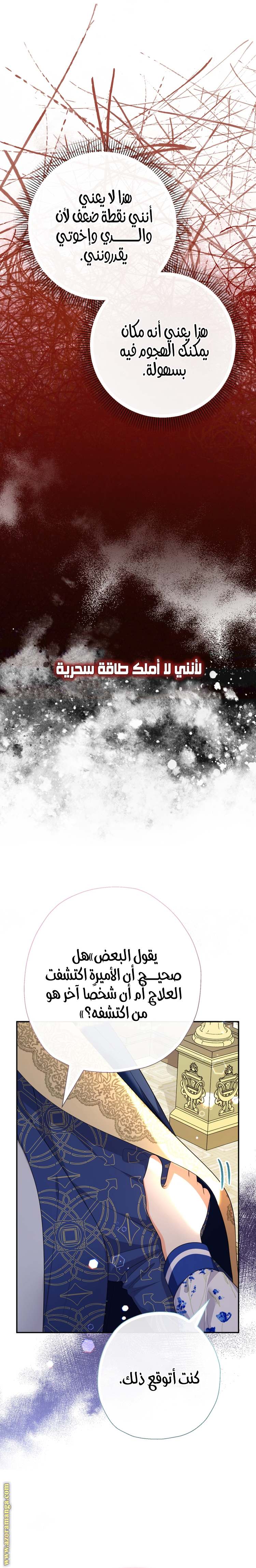 الصفحة 25