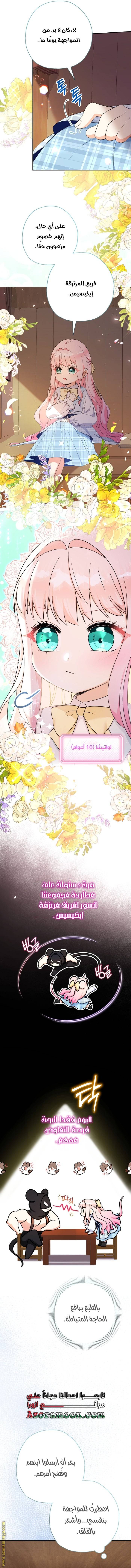 الصفحة 14