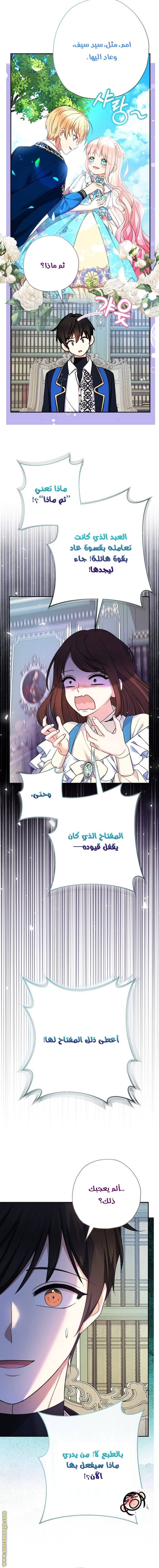 الصفحة 11