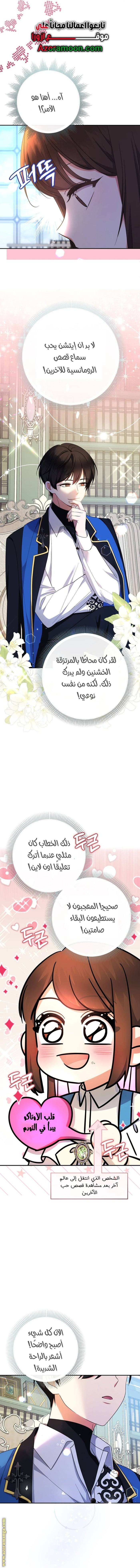 الصفحة 17