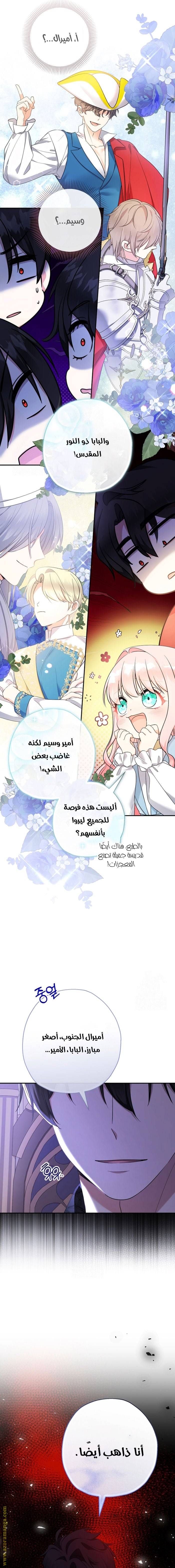 الصفحة 11
