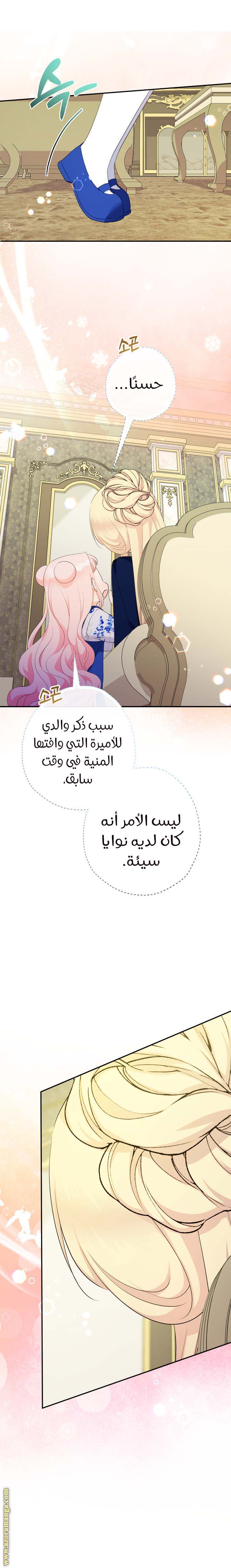 الصفحة 17