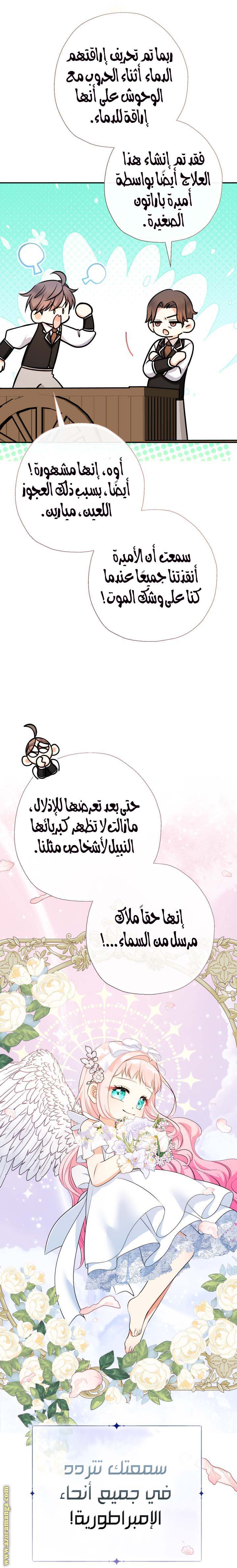 الصفحة 22