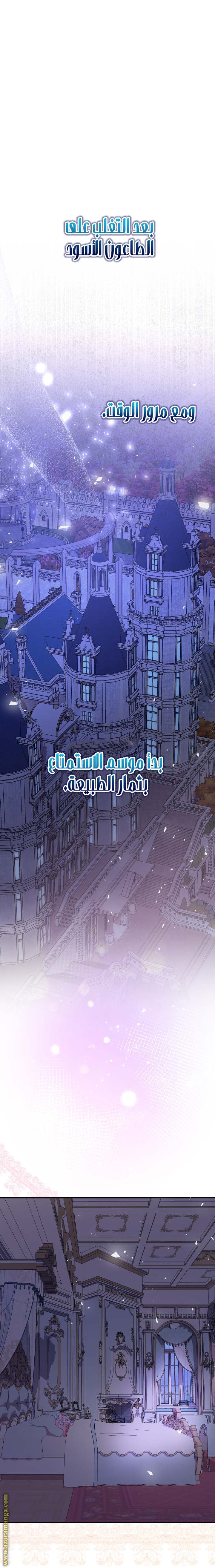 الصفحة 24