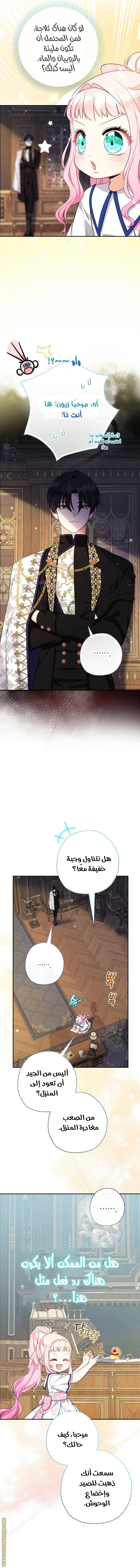 الصفحة 13