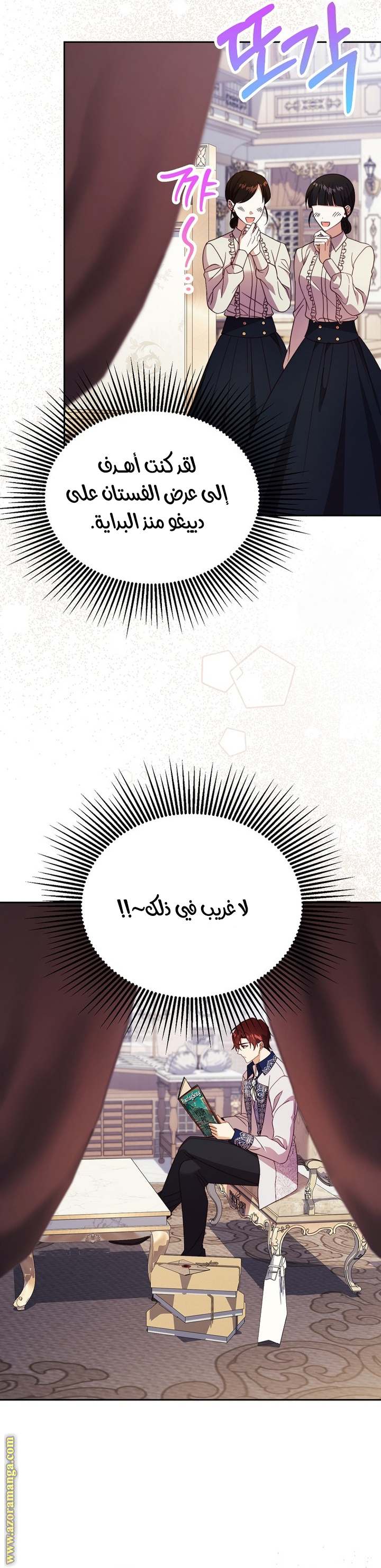 الصفحة 24