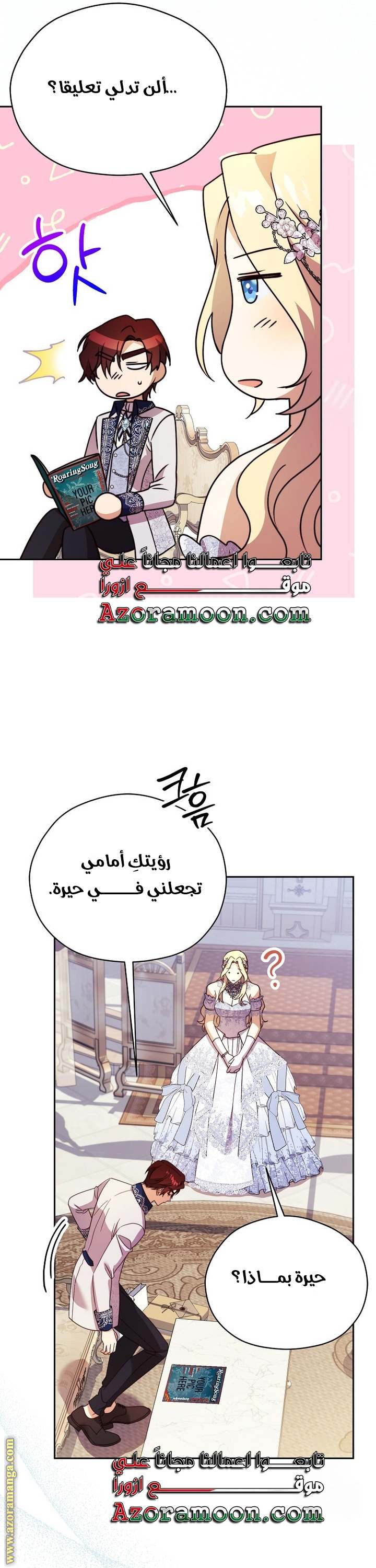 الصفحة 29