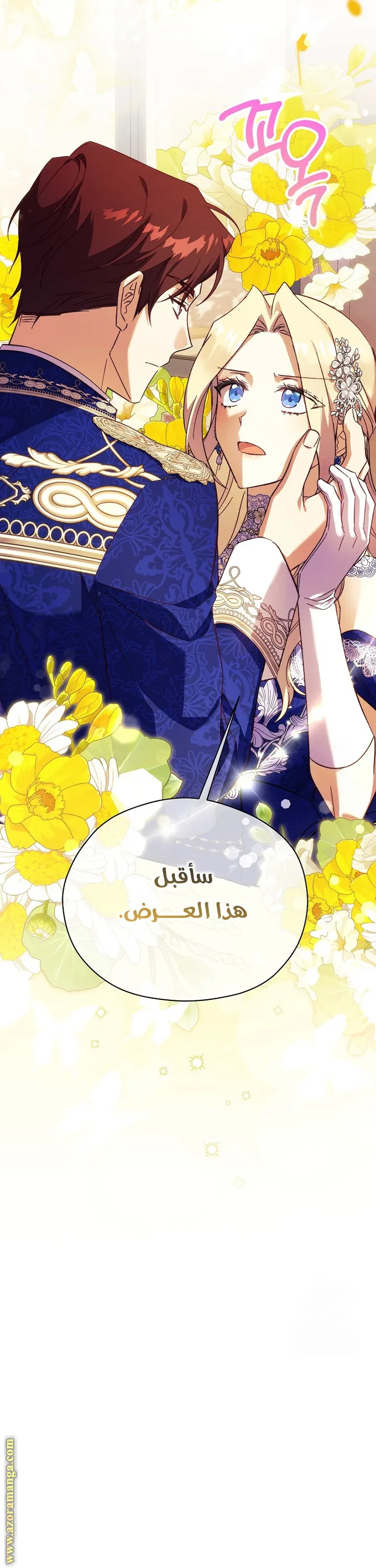 الصفحة 27