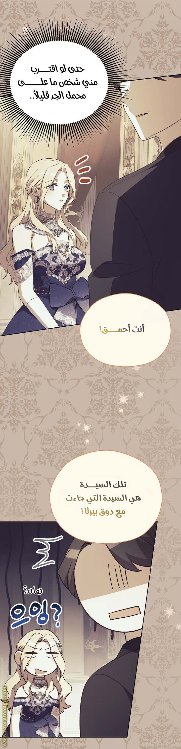 الصفحة 31