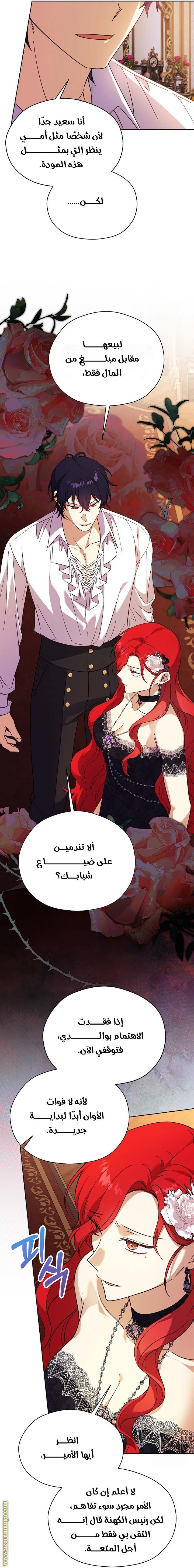 الصفحة 27